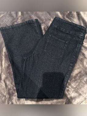 Allison Daley Petite Stretch Pull-On Dark Blue/Charcoal/Washed Black Jeans 12